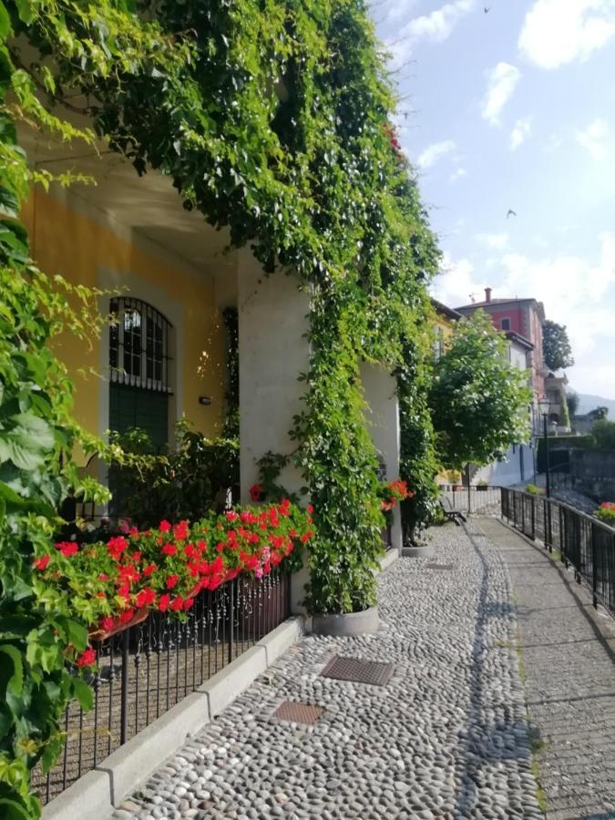 Viewtiful Homestay Stazzona 外观 照片