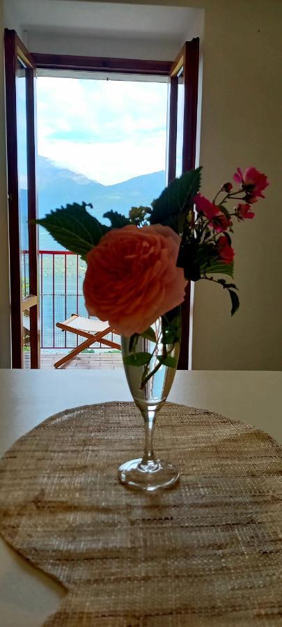 Viewtiful Homestay Stazzona 外观 照片